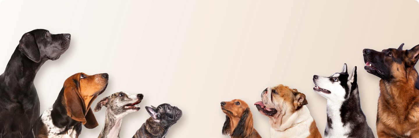 Sed ut perspiciatis un!