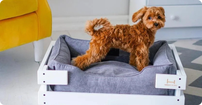 Sed ut perspiciatis unde omnis iste natus!